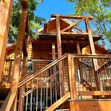 Cricket Hill Treehouse By Amish Country Lodging Millersburg Ngoại thất bức ảnh